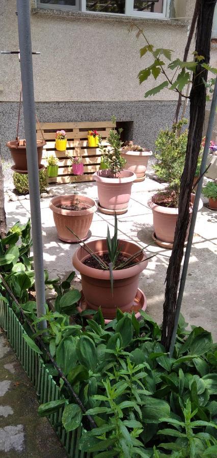 Draga Apartment Misivri Dış mekan fotoğraf